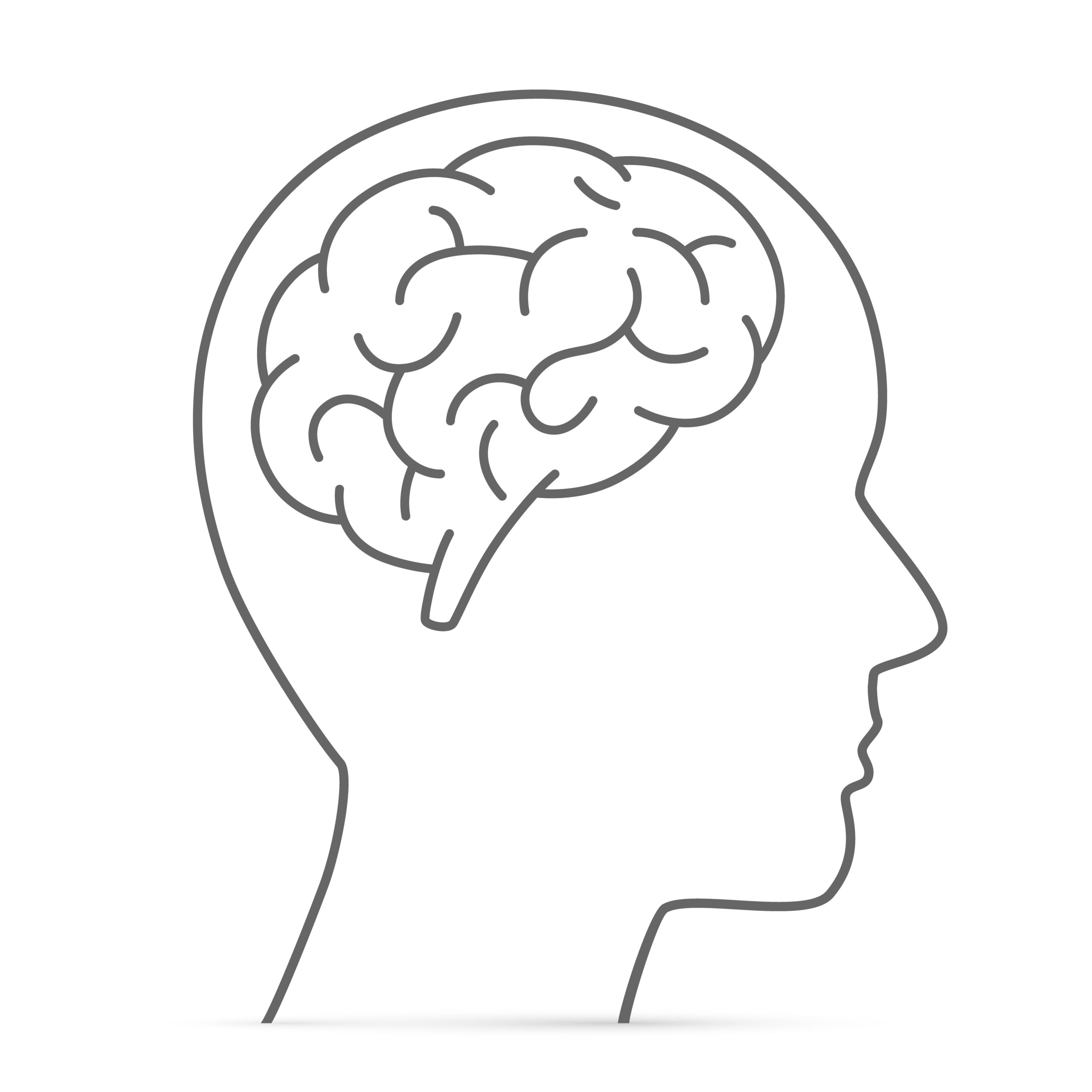 Silhouette head with the brain. Vector illustration